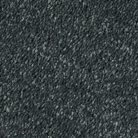 Stainfree Reflections Ebony 11 Carpet