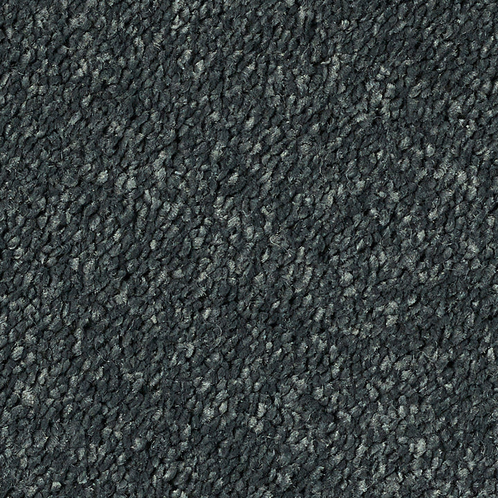 Stainfree Reflections Ebony 11 Carpet