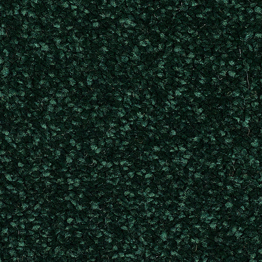 Stainfree Reflections Fir Green 20 Carpet