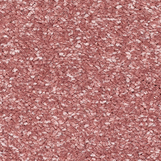 Stainfree Reflections Pink Whisper 22 Carpet