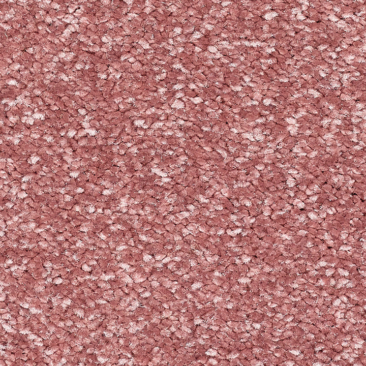 Stainfree Reflections Pink Whisper 22 Carpet