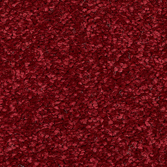 Stainfree Reflections Rioja 16 Carpet