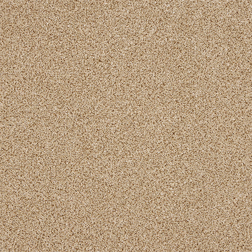 Knightsbridge Berber Honeycomb Twist 05 Carpet