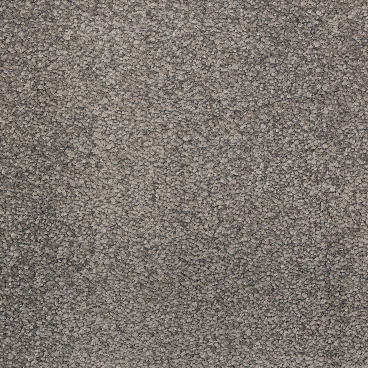Affluence Steel Carpet