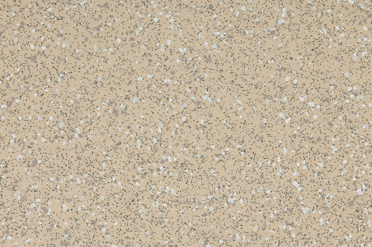 Altro Walkway Vm20 Sand WR20 Gun A1m20 VMI2051 Commercial Flooring