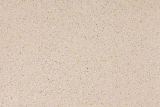 Altro Walkway Vm20 Minster WR289 Gun A1m265 VM2018P Commercial Flooring