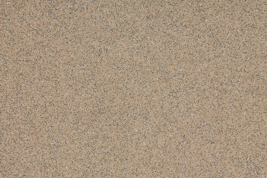 Altro Walkway Vm20 Biscuit WR146 Gun A1m20 VM20907 Commercial Flooring