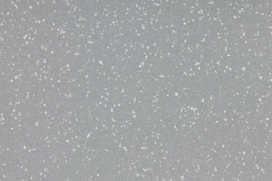Altro Aquarius Tern WR261 Gun A1m81 AQI2008 Commercial Flooring