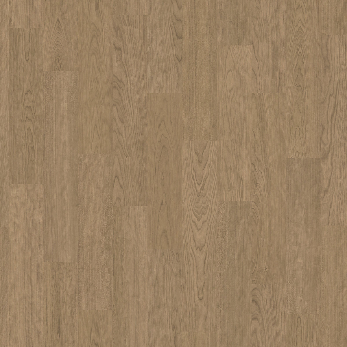 Altro Oceanis Canadian Maple NCA2513 WR339 AM1339 Commercial Flooring