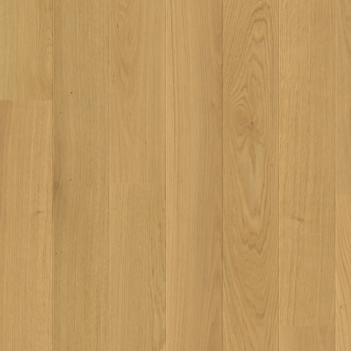 Quick-Step Amato Leather Oak Extra Matt AMT6029 13mm Engineered Wood Flooring