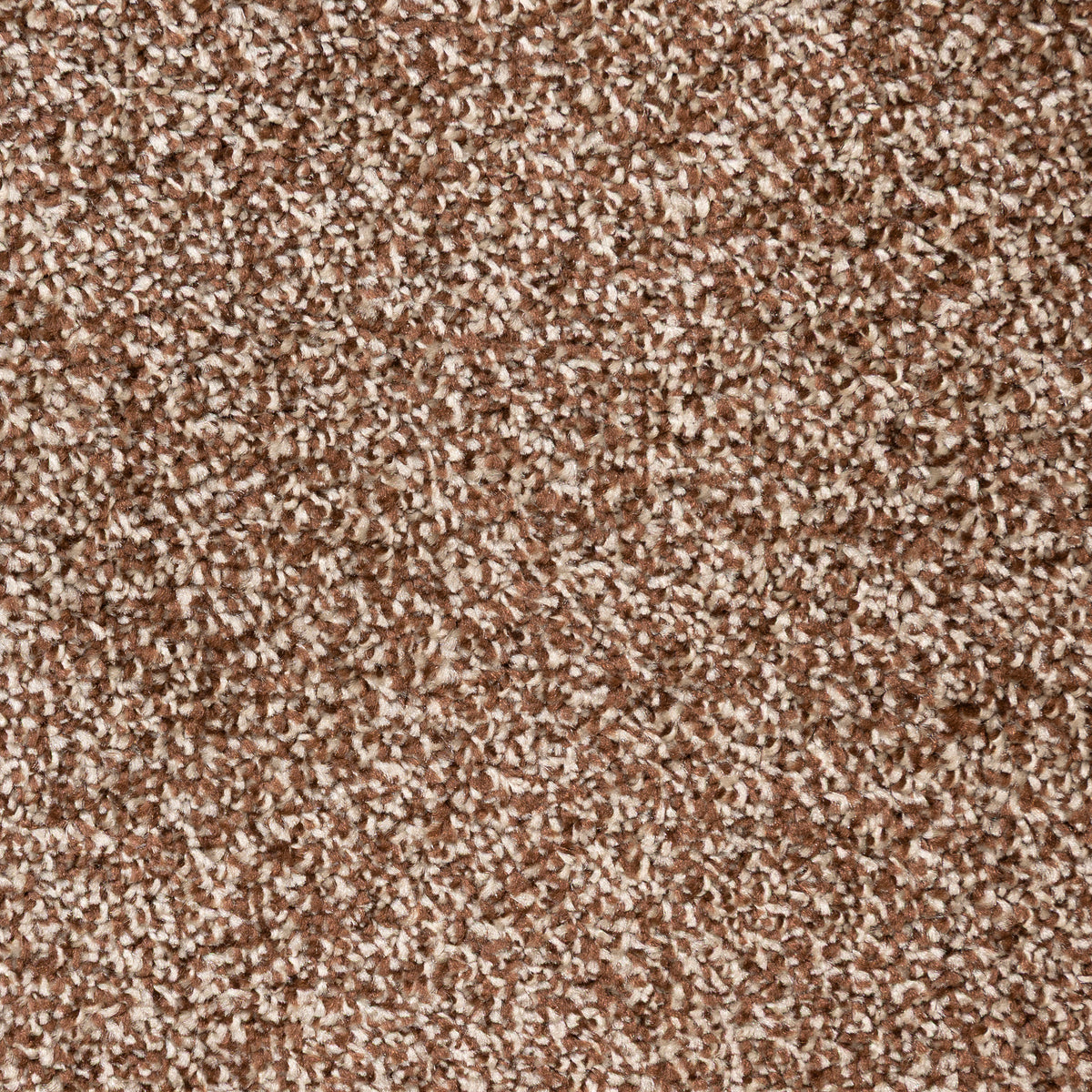 Aries Brown 680 Carpet