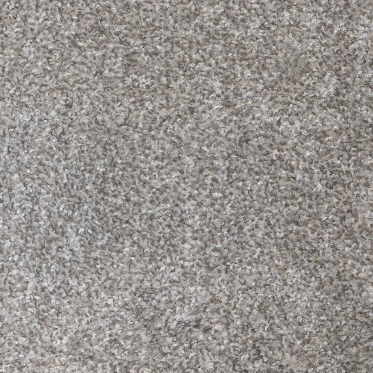 Aries White Silver 685 Carpet
