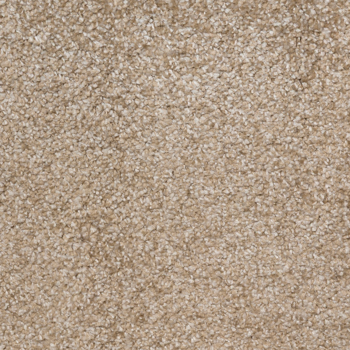 Aries Bone 783 Carpet