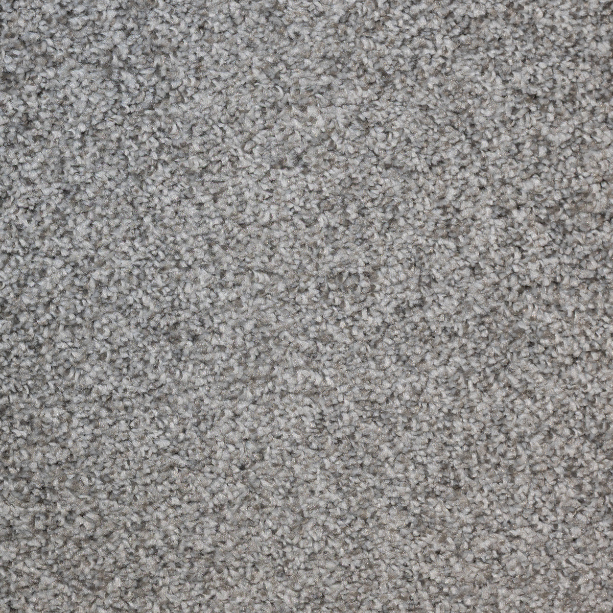 Aries Chromium 796 Carpet