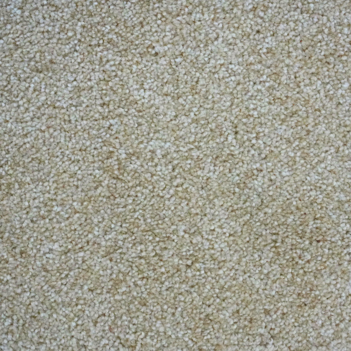 Aries Light Cream 799 Carpet