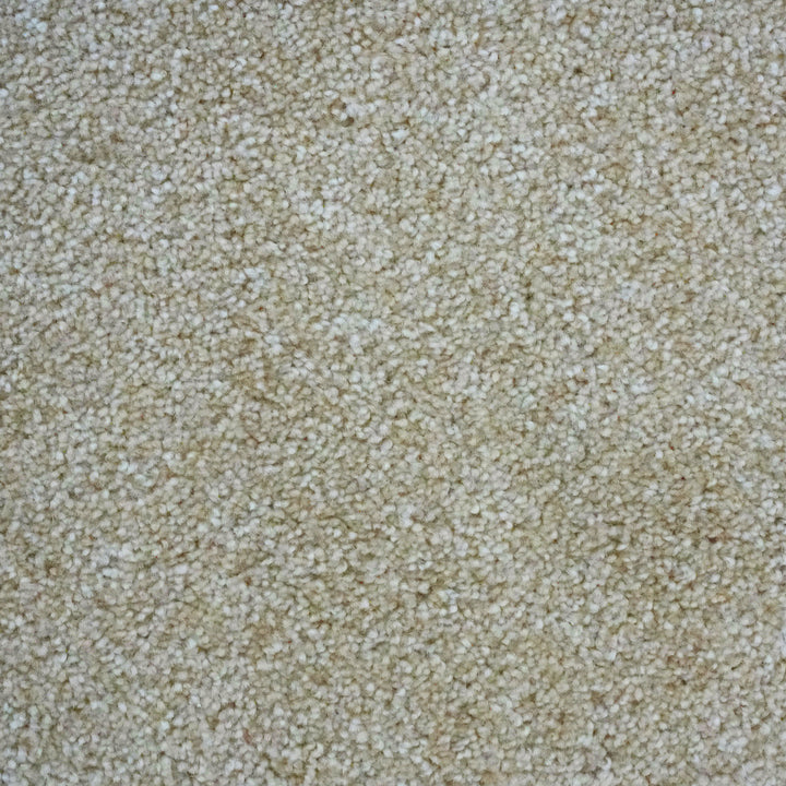 Aries Light Cream 799 Carpet