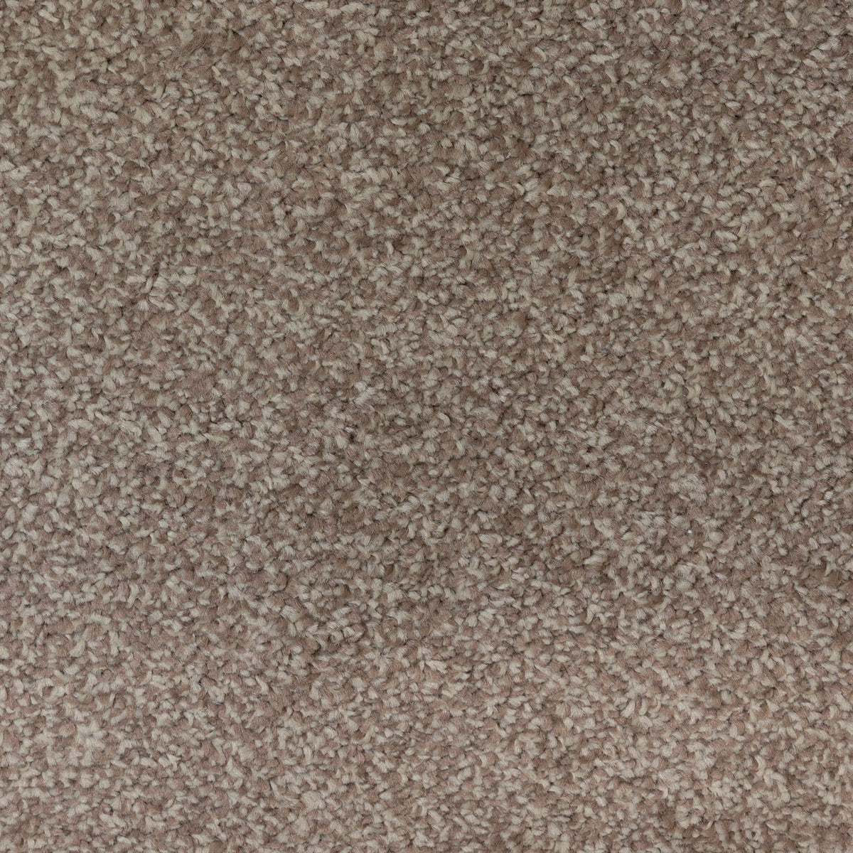 Aries Beige 682 Carpet