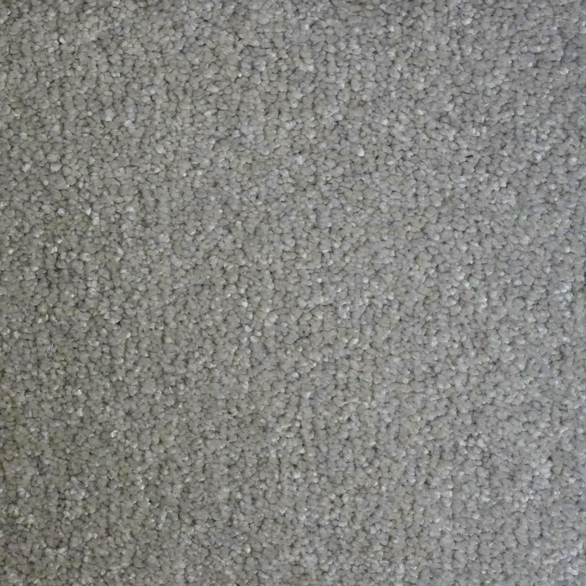Attraction Platinum 3061 Carpet