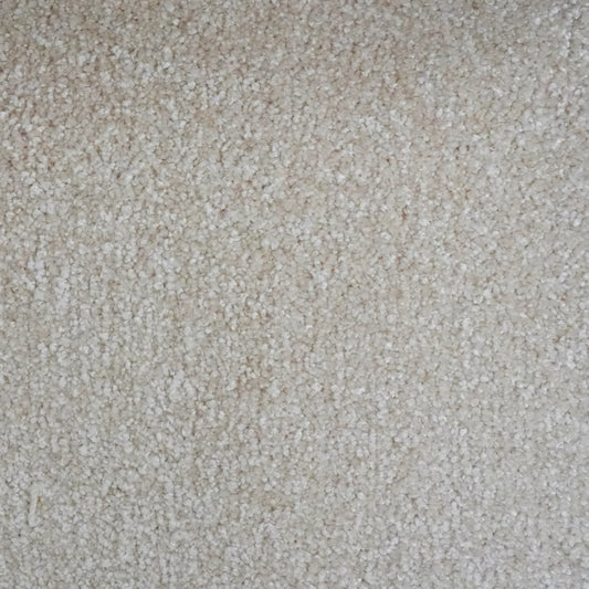 Attraction Cotton 3055 Carpet