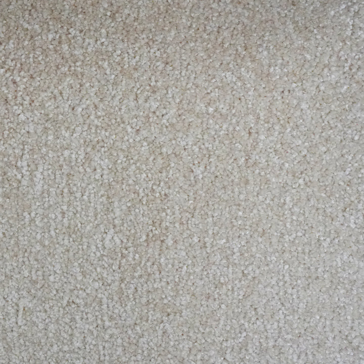 Attraction Cotton 3055 Carpet