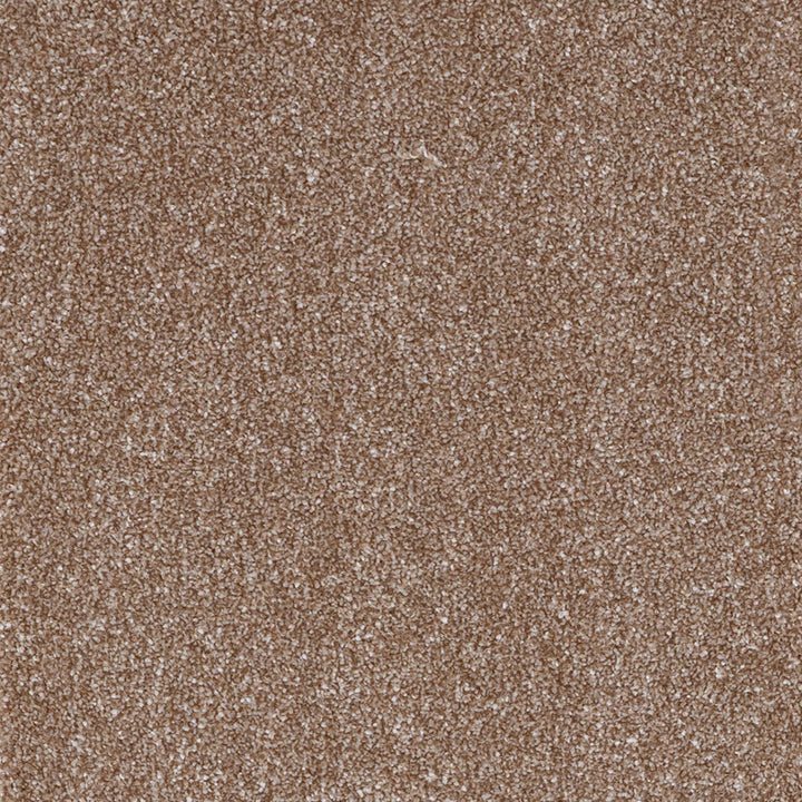 Highgrove Elite Limited Latte 42 Carpet
