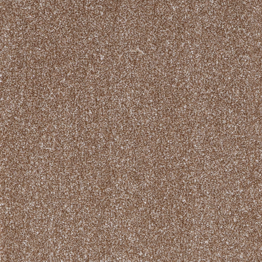 Highgrove Supreme Limited Latte 42 Carpet