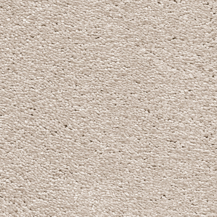 Magnificus Shortbread 31 Carpet