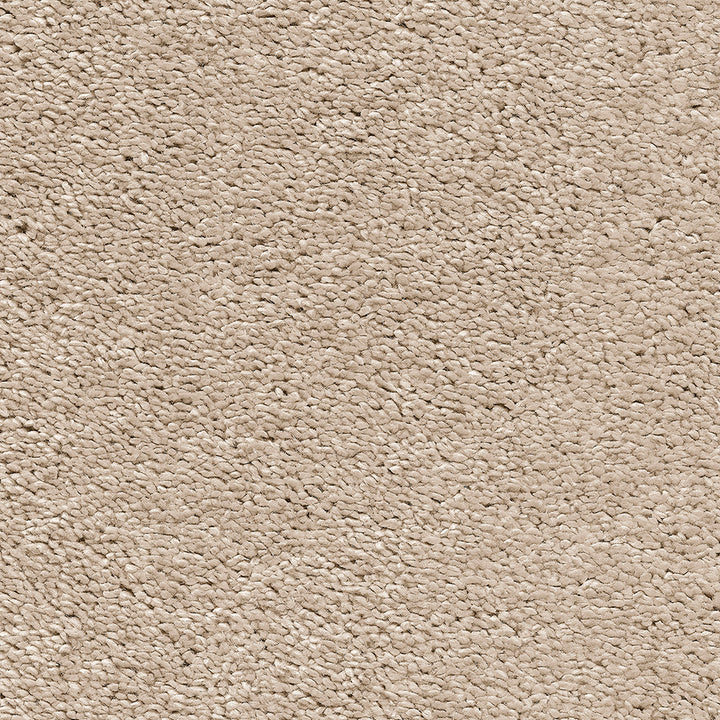 Magnificus Sandcastle 35 Carpet