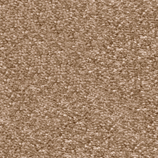Magnificus Latte 40 Carpet