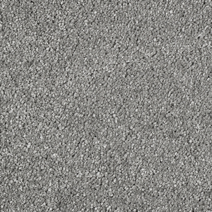 Magnificus Pewter 97 Carpet