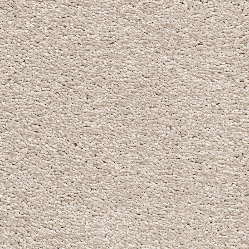 Centurion Shortbread 31 Carpet