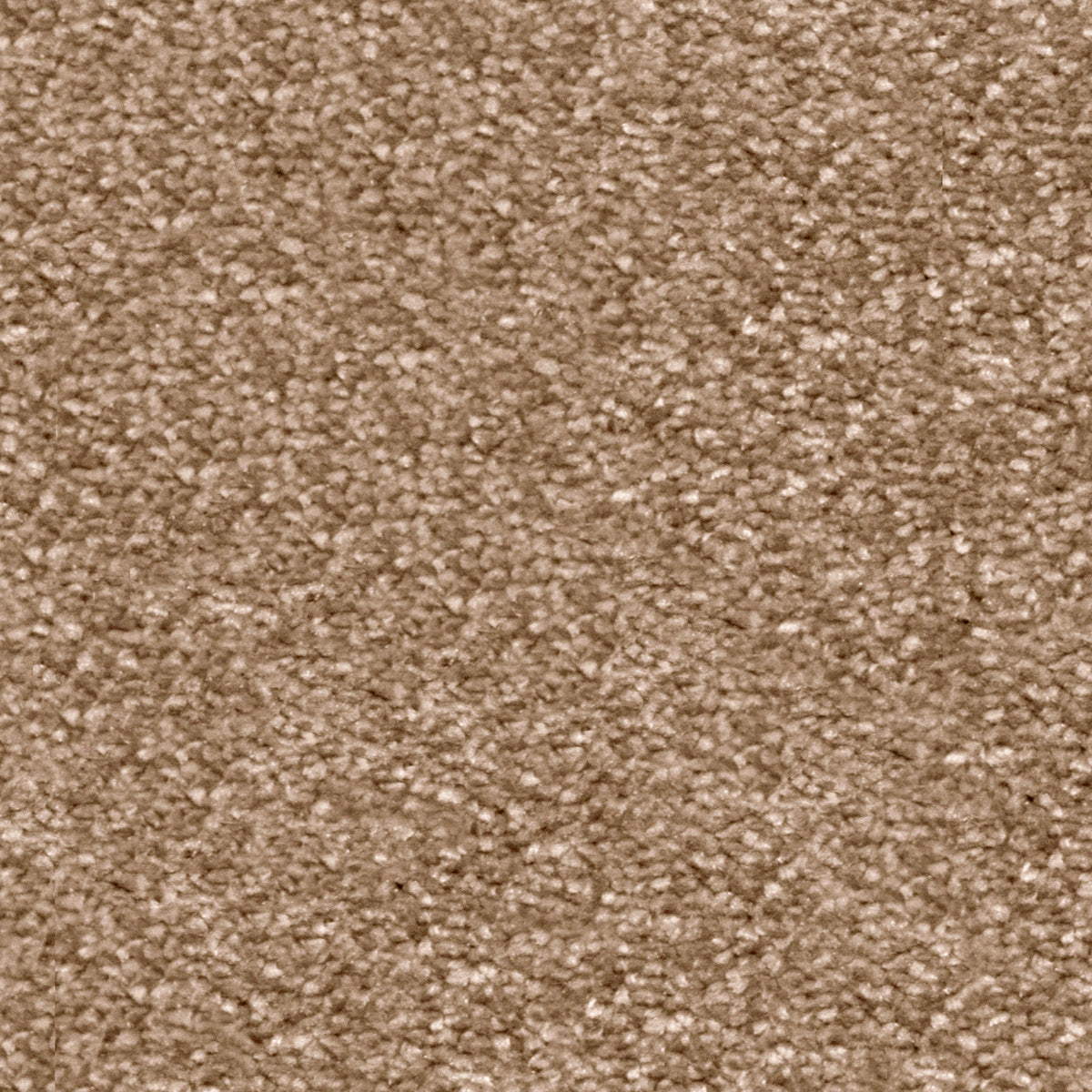 Centurion Latte 40 Carpet