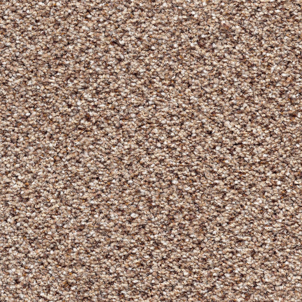 Stainaway Tweed Eddleston 35 Carpet