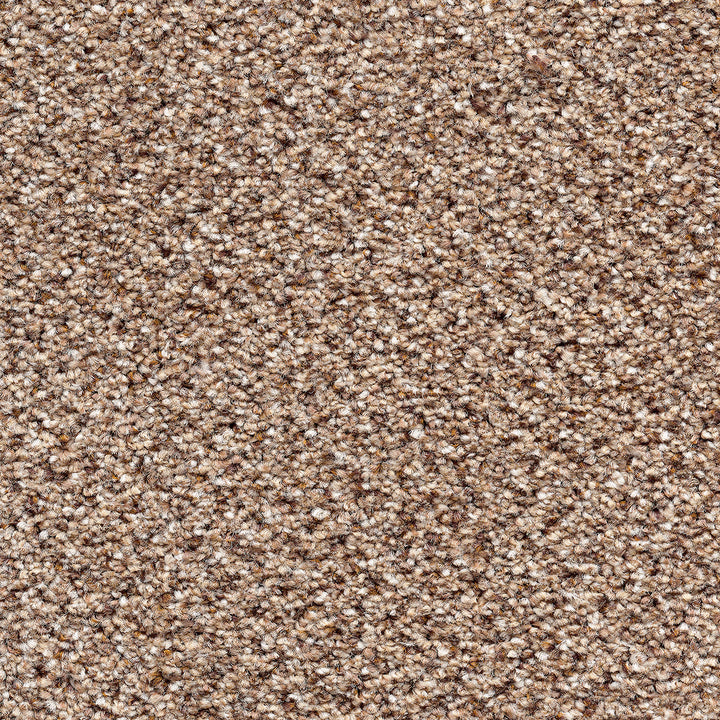 Stainaway Tweed Eddleston 35 Carpet