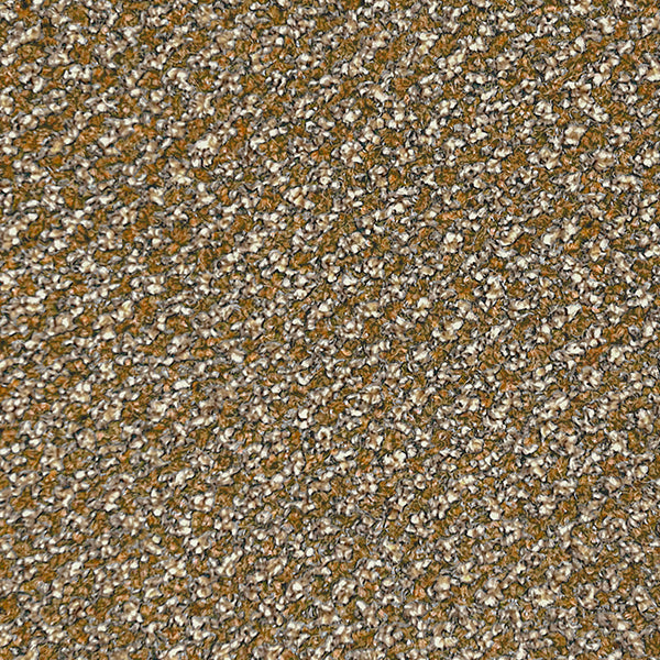 Stainaway Tweed Amber 54 Carpet