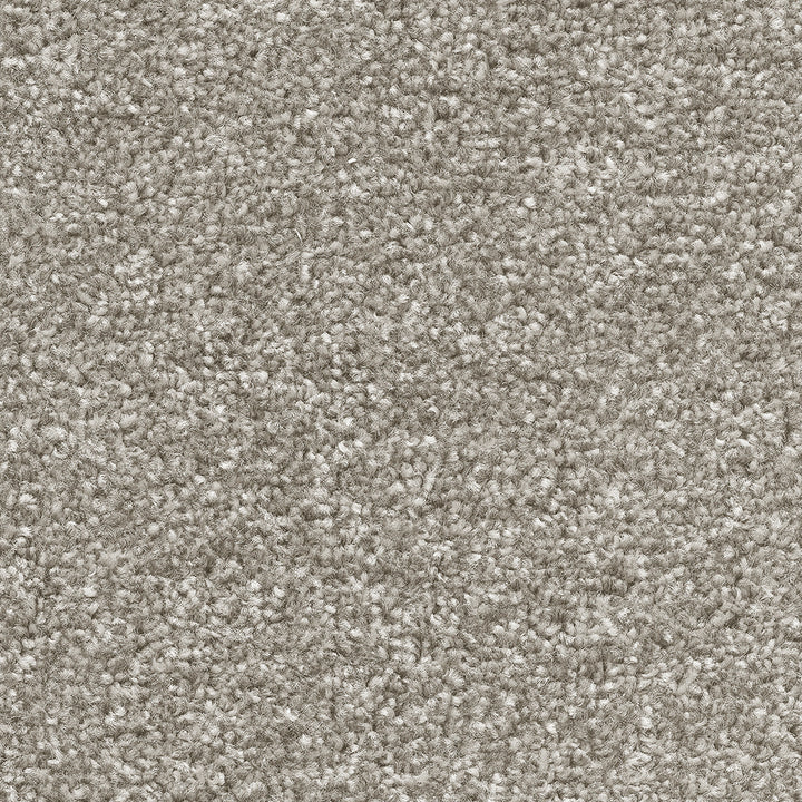 Temptation Goose Down 07 Carpet
