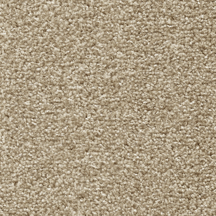 Temptation Oatmeal 30 Carpet
