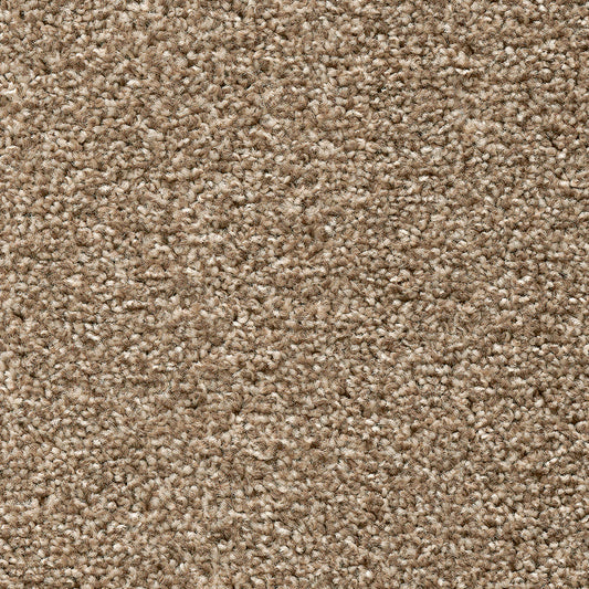 Temptation Pebble Beige 32 Carpet