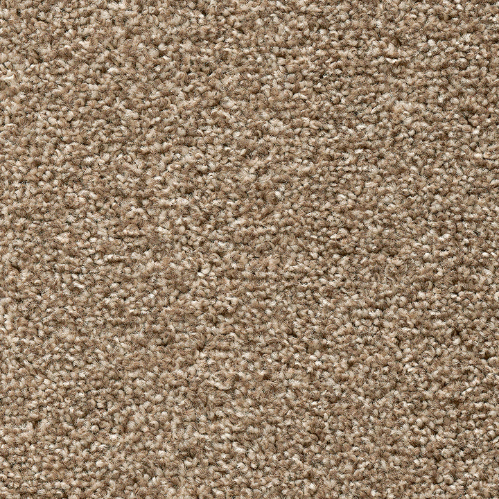 Temptation Pebble Beige 32 Carpet