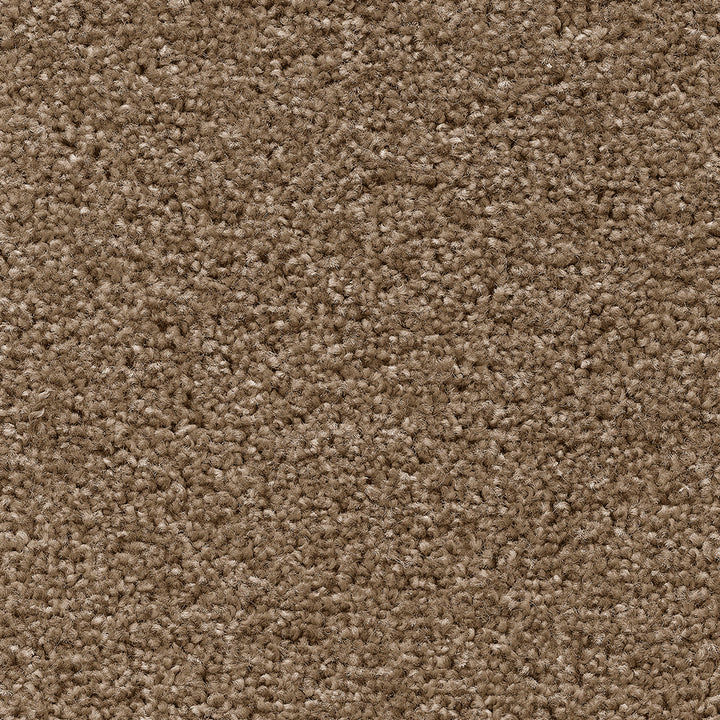 Temptation Reed Beige 34 Carpet