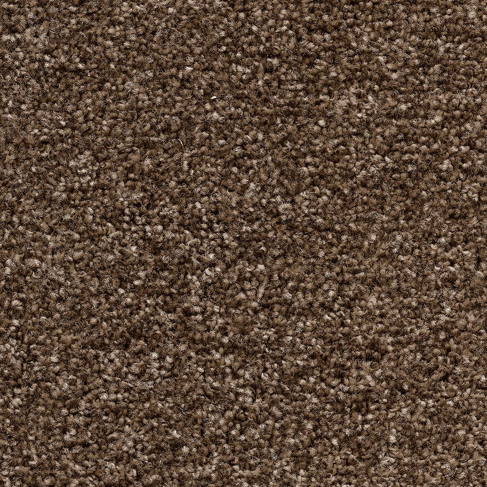 Temptation Loam 39 Carpet
