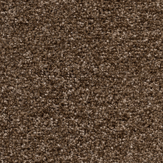 Temptation Loam 39 Carpet