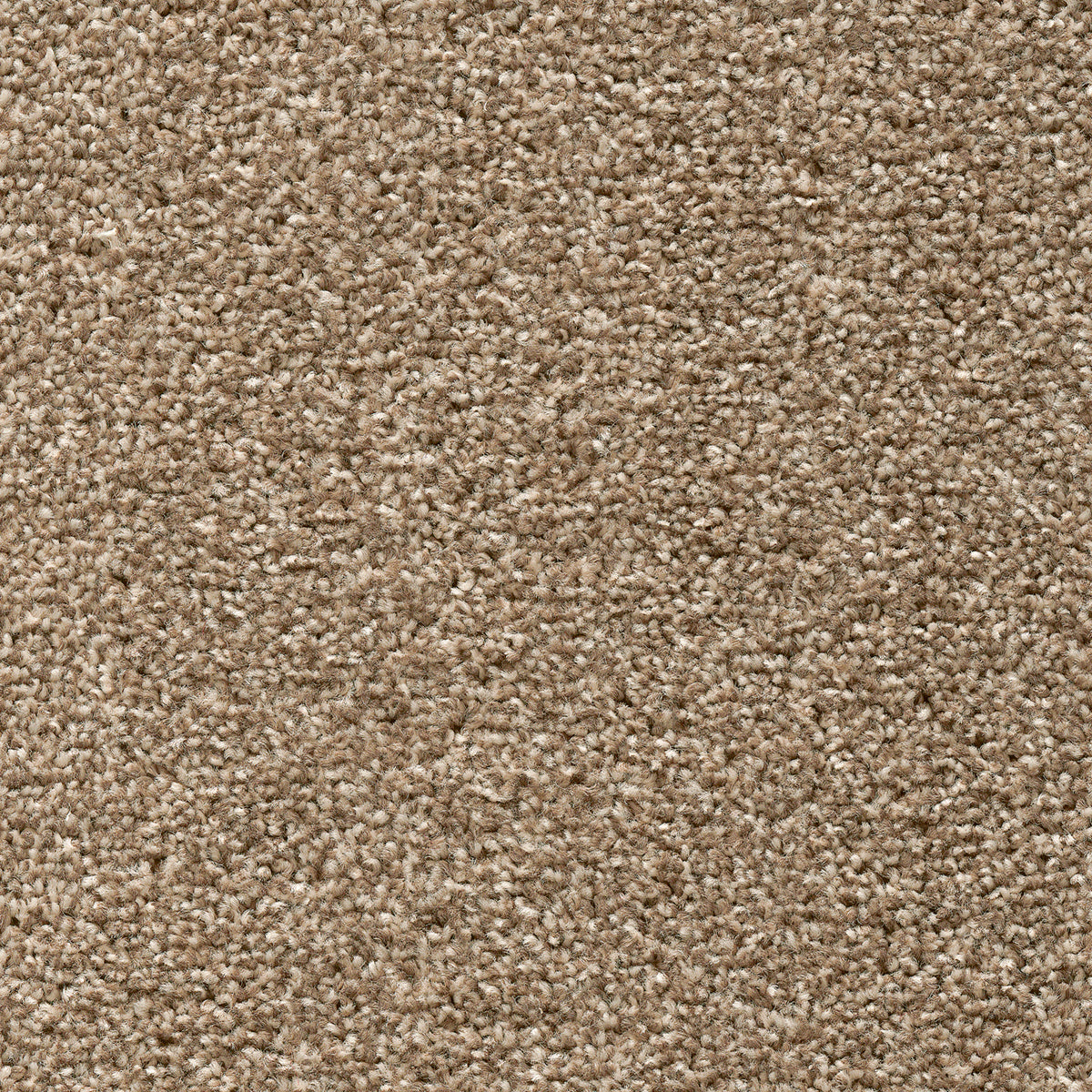 Tuftex Twist Fb Pebble Beige 32 Carpet