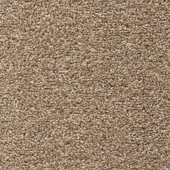 Tuftex Twist Fb Pebble Beige 32 Carpet