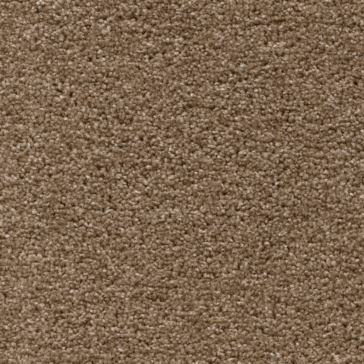 Tuftex Twist Fb Pastel Beige 34 Carpet