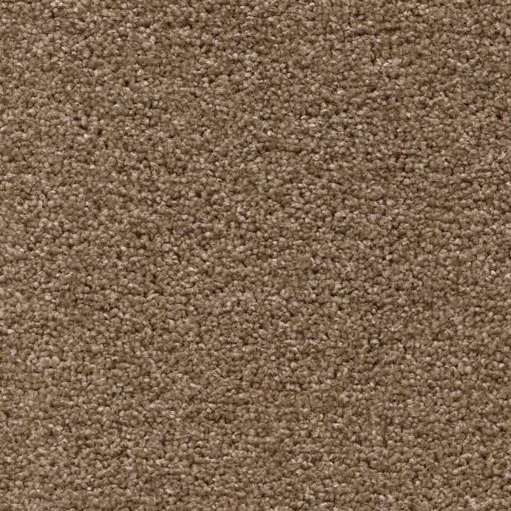 Tuftex Twist Fb Pastel Beige 34 Carpet
