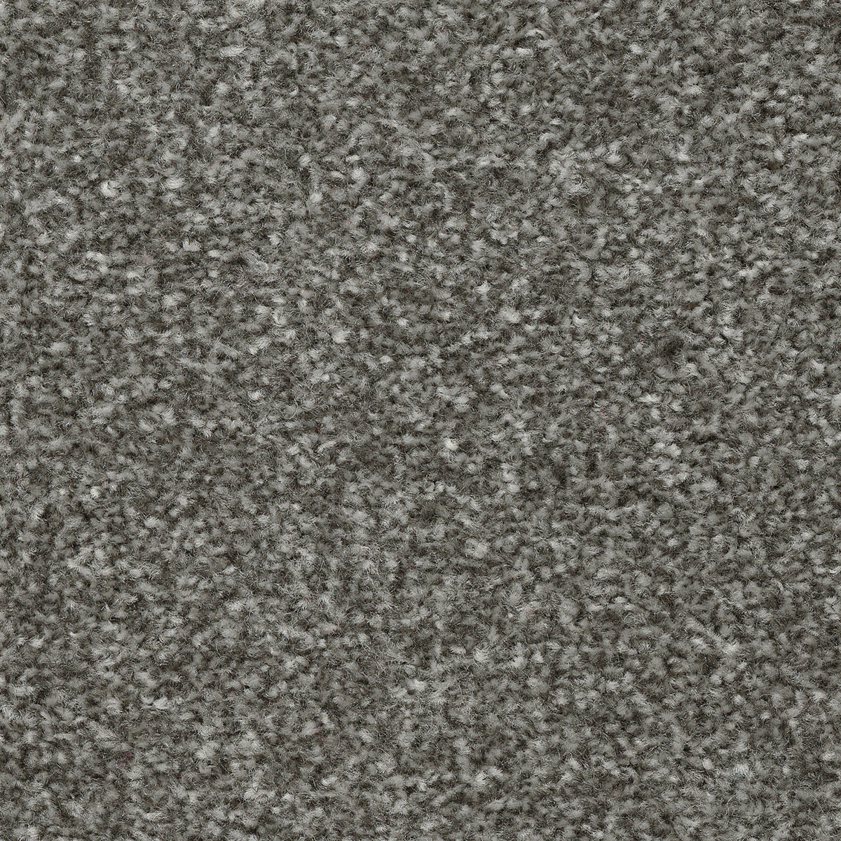 Tuftex Twist Fb French Grey 96 Carpet