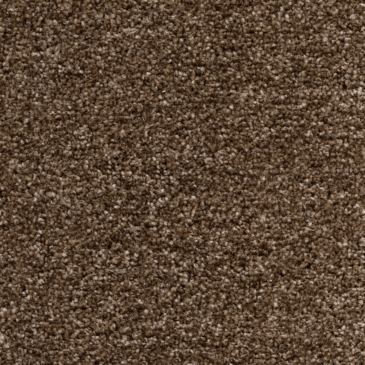 Tuftex Twist SB Glace Coffee 39 Carpet