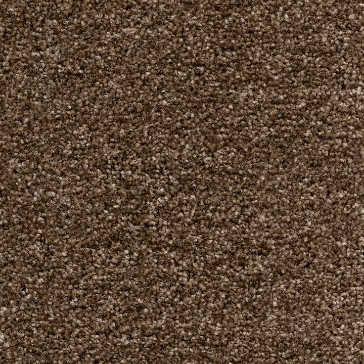 Tuftex Twist SB Glace Coffee 39 Carpet