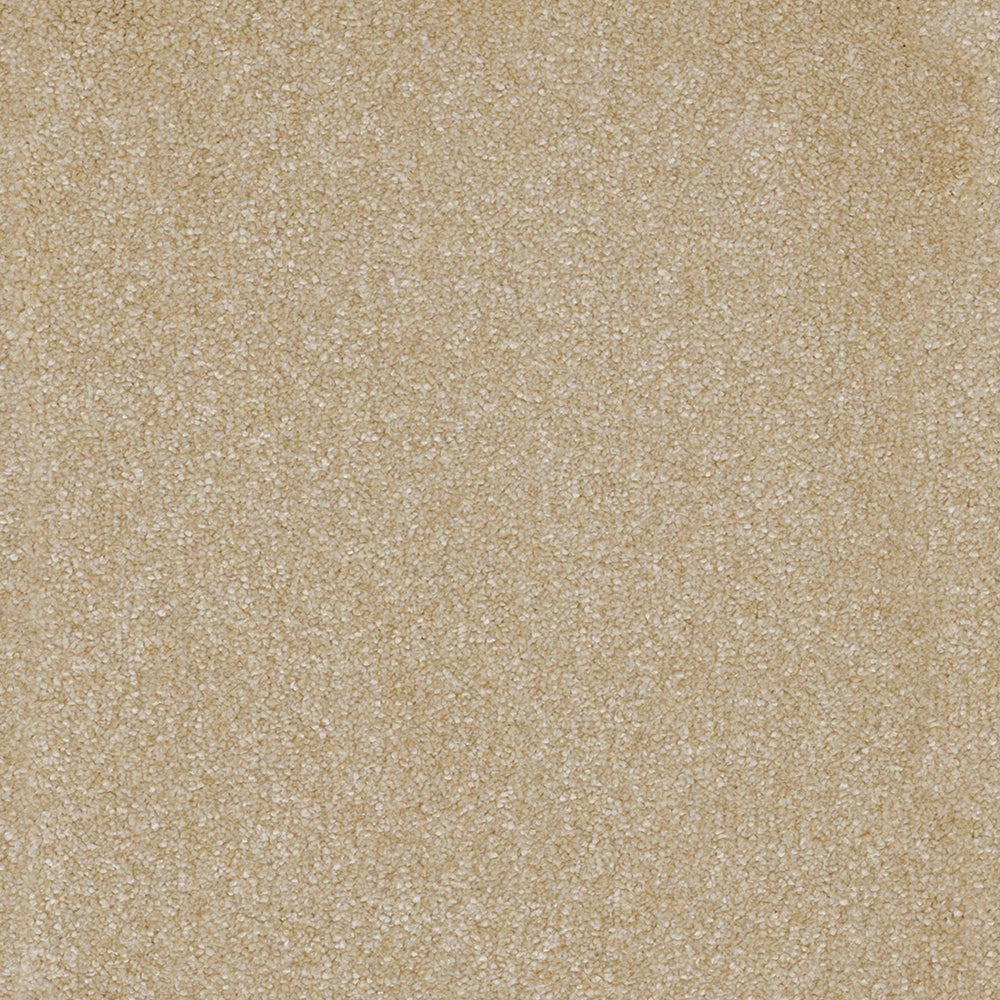 York Elite Desert Sun 30 Carpet
